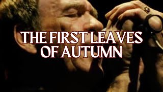 The First Leaves Of Autumn │ Finbar Furey [upl. by Garlan]