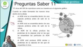 Preguntas Biología  Código Genético [upl. by Fosdick]