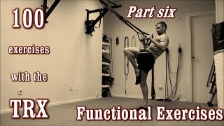 100 Exercises with the TRX  The Complete Guide  Part 6  Functional Exercises [upl. by Eerized]