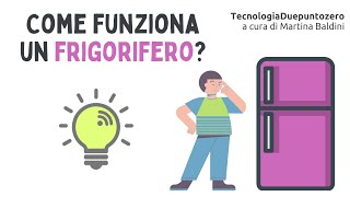 Come funziona un frigorifero [upl. by Tezile]