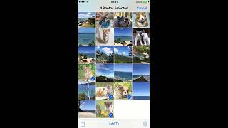 Move using the Photos app Move photos from the camera roll to Utiful folders using the Photos app [upl. by Hillery]