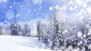 Snowfall animation in JS  JavaScript Tutorials [upl. by Calvano]