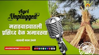 वेळा अमावस्या अर्थात येळवस म्हणजे मातीतला उत्सव  What is Vel Amavasya  Agri Unplugged [upl. by Ellehcim]