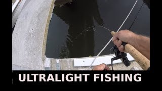 Catching Fiddler Crabs Fishing For Sheepshead Mangrove Snapper With Shrimp [upl. by Lesya898]