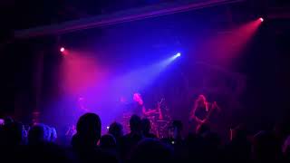 Organectomy  Live in Minneapolis  2024  Concert Clip 1 of 3 [upl. by Ekeiram397]