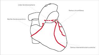 EKG verstehen Schenkelblock Herzinfarkt EKG Crashkurs Teil 2 [upl. by Elirpa]