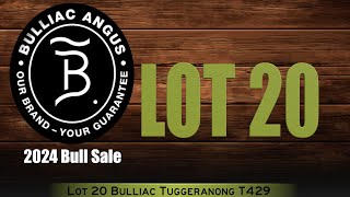 Lot 20 Bulliac Tuggeranong T429 [upl. by Letsou776]