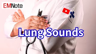 Lung Sounds Breath Sounds [upl. by Thomson650]