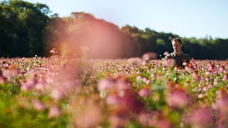 Beleef de AVogel tuinen met onze tuinmannen Joost en Frans [upl. by Bena]