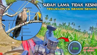 Hunting ‼️ MP SL4G 14 Grin Cyclone di Spot Lama ‼️ Ayam Hutan Masih tak nampak [upl. by Noicnecsa]