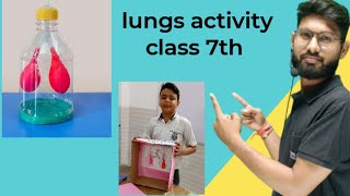 lungs model activity viralvideo science education school students [upl. by Eseila]