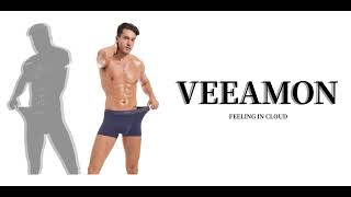 VEEAMON Mens Ice Silk Boxer Briefs Seamless Underwear Cool Silky Comfortable 4Pack With Gift Box [upl. by Ebony]