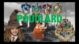 15 CHOSES À SAVOIR SUR POUDLARD [upl. by Airdnalahs]