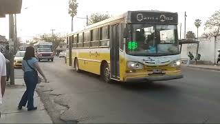 Mix de Colectivos de San Salvador de Jujuy en la Avenida Exodo  Parte 2 [upl. by Moffat]