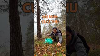 Hái nấm rừng kèn vàng về xào bơ tỏi 🍄Picking mushrooms in the woods in late autumn in Norway [upl. by Wallis]