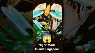 Island in Night 😍 Sentosa Island Singapore  Night Mode Sentosa shorts sentosa trending [upl. by Torin]