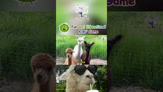 The Animal Song  Llama  The Animal  Llama Song  Edufam Nursery Rhyme amp Kids song [upl. by Marga]