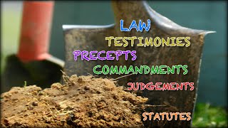 What Are the Differences of Law Testimonies Precepts Commandments Judgements and Statutes [upl. by Euqinehs]