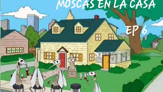 Moscas En La Casa EP 6 [upl. by Selda]