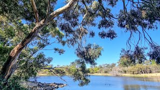 Check Out the Glenthorne Farm Gravel [upl. by Ahselet]