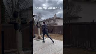 Anonimo Lesson 13 fencing hema sidesword sword swordfighting winnipeg [upl. by Yovonnda]