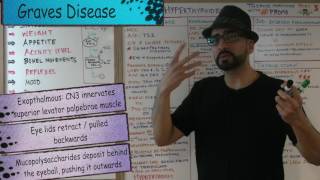 Thyroid Hormone Part 3  Hyperthyroidism  Endocrine 8  Med School Mondays with PROMO [upl. by Marcella]