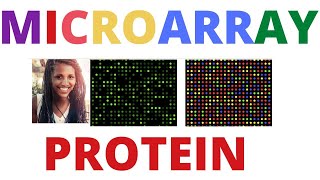 🪀🛑 Protein Microarray MICROARRAY DATA ANALYSIS [upl. by Kennard]