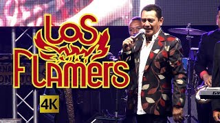 Los Flamers  Flamazos De Exitos en vivo 4K [upl. by Dane]