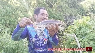 mancing casting ikan gabus dan toman bersama angler siantar spot istimevvah [upl. by Nnahoj]