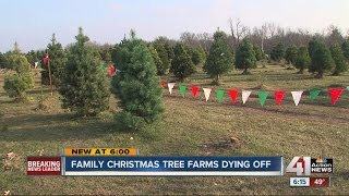 Family Christmas tree farms dying off [upl. by Ecirahs]