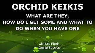 ORCHID KEIKIS  WHAT ARE THEY HOW TO GET ONE AND WHAT TO DO WITH IT [upl. by Arraic]