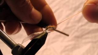 Fly Tying Instructions  Gammarus Scud AB Scud [upl. by Annaitat]