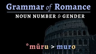 Romance Languages noun number amp gender [upl. by Nagol]