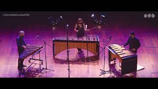 Trio for Percussion  Marimba Xylophone Vibraphone Arrochando [upl. by Donni]