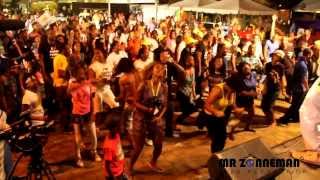 Barbados Live On Stage In Suriname at Carifesta XI [upl. by Wolpert57]