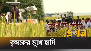 ময়মনসিংহের শুরু আমন ধান কাটা উৎসব  Mymensingh Paddy  Rice Harvest Festival  Agriculture  EkhonTV [upl. by Burkhart]