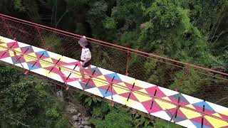 Cinchona Forest Reserve  Mt Kitanglad Range Natural Park [upl. by Eirb]