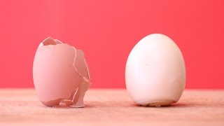 How to Peel an Egg in under 10 Seconds 3 Methods [upl. by Thorndike]