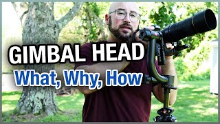 Carbon Fiber Gimbal Head  What Why and How with the Oben GH30C [upl. by Oz]