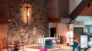 St Francis of Assisi Belchertown Live Stream [upl. by Kong]