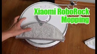 RoboRock S5 S50 Mopping Demo [upl. by Kinimod]