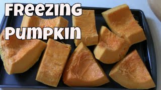 How I Freeze Pumpkins by Making Homemade Pumpkin Puree [upl. by Ahsircal]