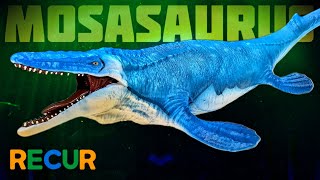 BRAND NEW STYLE Recur quotHoffmanquot the Mosasaurus Review Theyre finally here [upl. by Aciamaj]