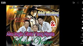 Aku Ingin Cinta Yang Nyata SOISE VOICE Feat ERICKS SIHOTANG Official Music Video [upl. by Butch]