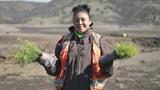 Yurok Tribe Plants 85 tons of Native Seed in Klamath Reservoirs [upl. by Soloman261]