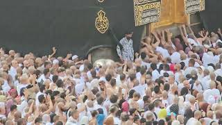 Kaaba Live🔴  November 12 2024  Jumma Mubarak  beautiful View Masjid Al Haram  Makkah official [upl. by Nnor]