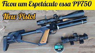 PISTOLA PCP PP750 DA ARTEMIS TESTE CORONHA 3DMOSACK LUNETAS DISCVOERY E WHETHUNTER [upl. by Nwatna]