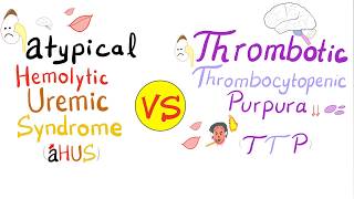 Atypical Hemolytic Uremic Syndrome aHUS vs Thrombotic Thrombocytopenic Purpura TTP [upl. by Noremmac]