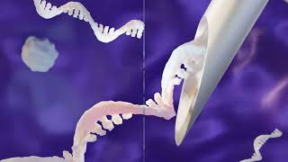 RNA Synthesis Technology  mRNA siRNA dsRNA miRNA [upl. by Ilyk245]