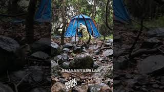 Solo camping rain storm [upl. by Pool]